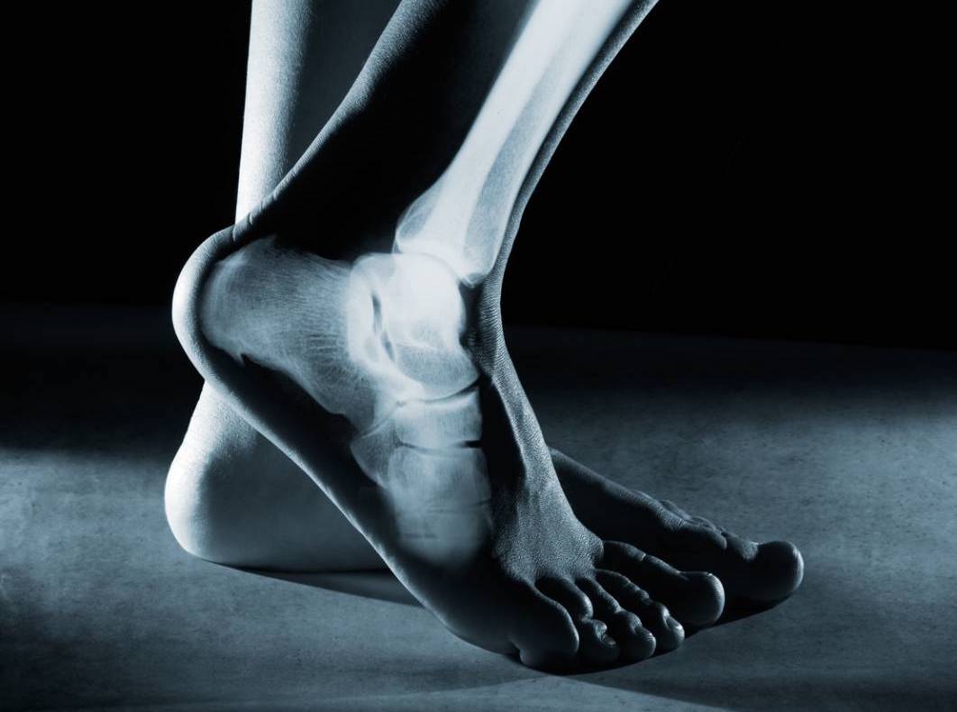 A Comprehensive Guide to Foot and Ankle Anatomy for Healthcare Workers