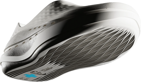 Shoe Image